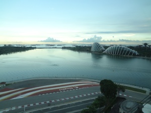 Singapore Flyer view