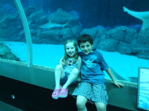 Kids at SEA Aquarium